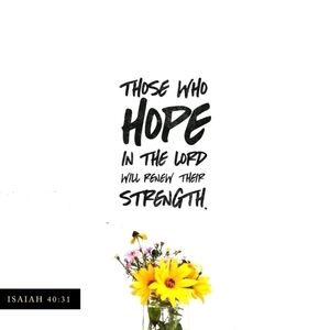 CLOTHES, shoes, jewelry, and household good.